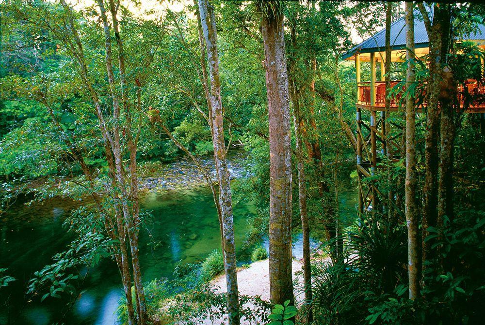 Silky Oaks Lodge Mossman Екстер'єр фото